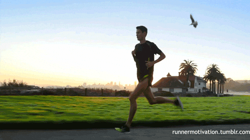 run running GIF.gif
