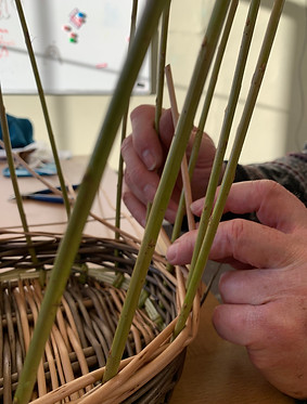 Willow basket being weaved