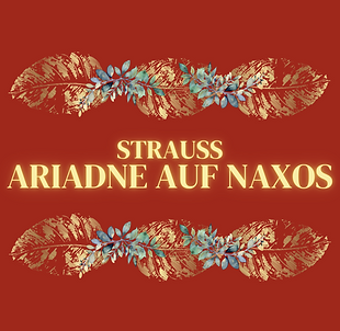 AiadneWeb.png
