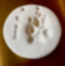 Rex Paw Print Stone.jpeg