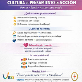 Construyendo cultura de pensamiento: Lineamientos VESS e inducción en el MAE