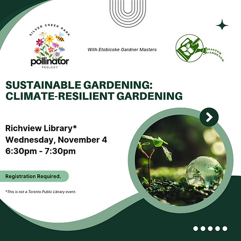 Richview Library_ Wednesday, November 4 IG.png
