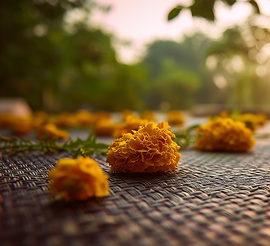 williamspatricia5925_06735_International_Yoga_Day_A_serene_clos_4fe67f9b-1f1e-416a-b256-0c