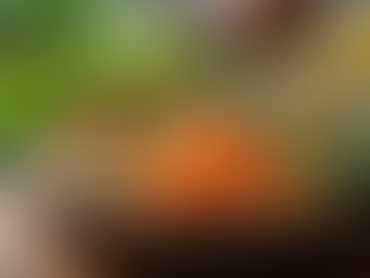 Online-Coaching: Individuelle Ernährungsstrategien für Gesundheit