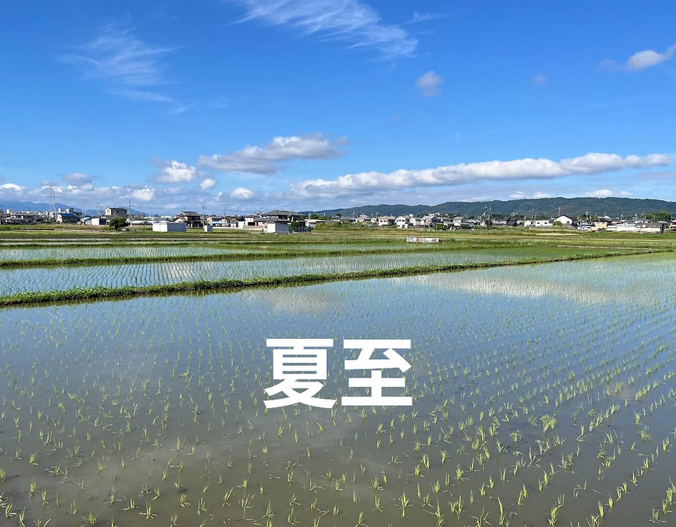 夏至