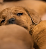 03_IMG_6763.jpeg