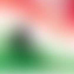 Campionati Italiani Assoluti 2026