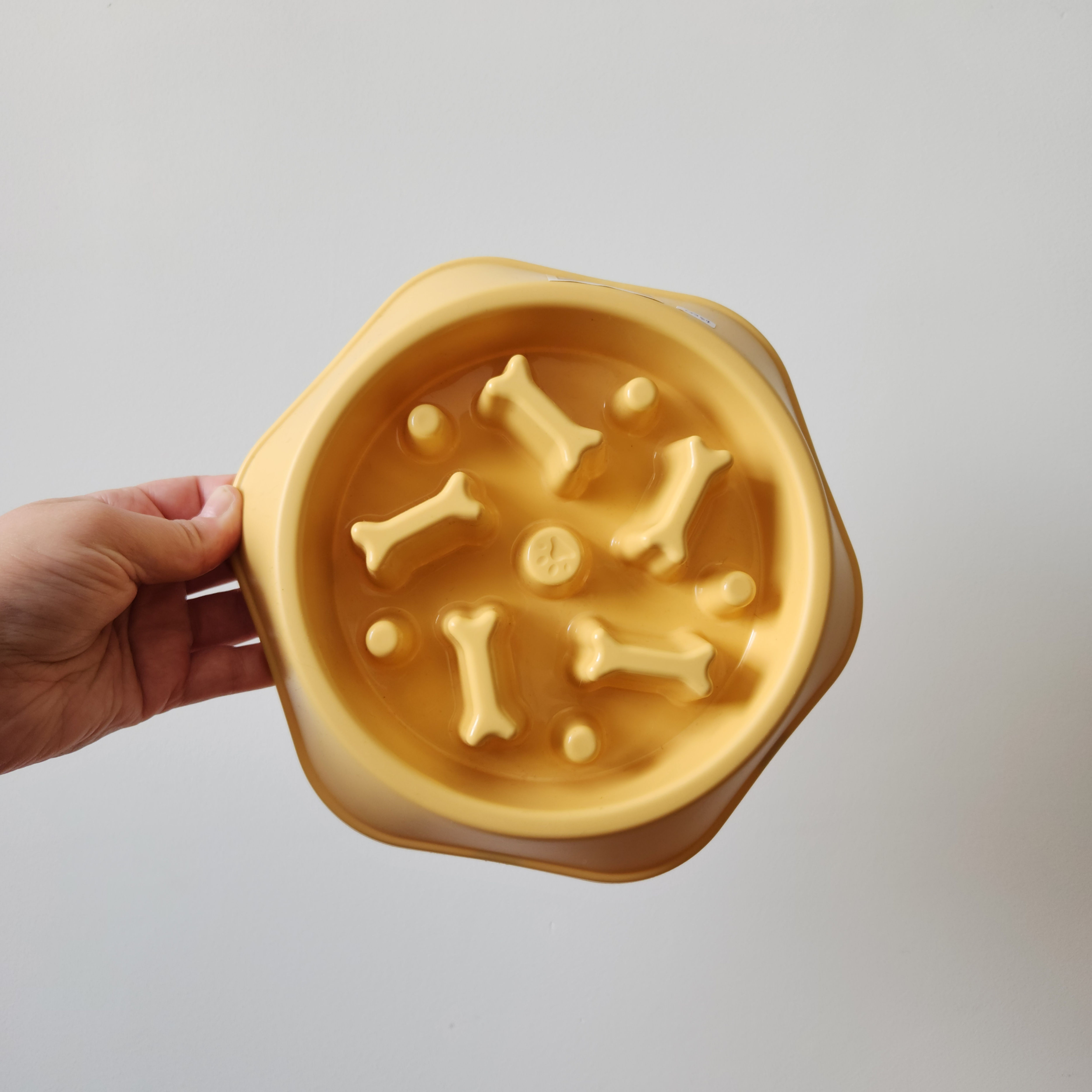 Plato comelento para perros