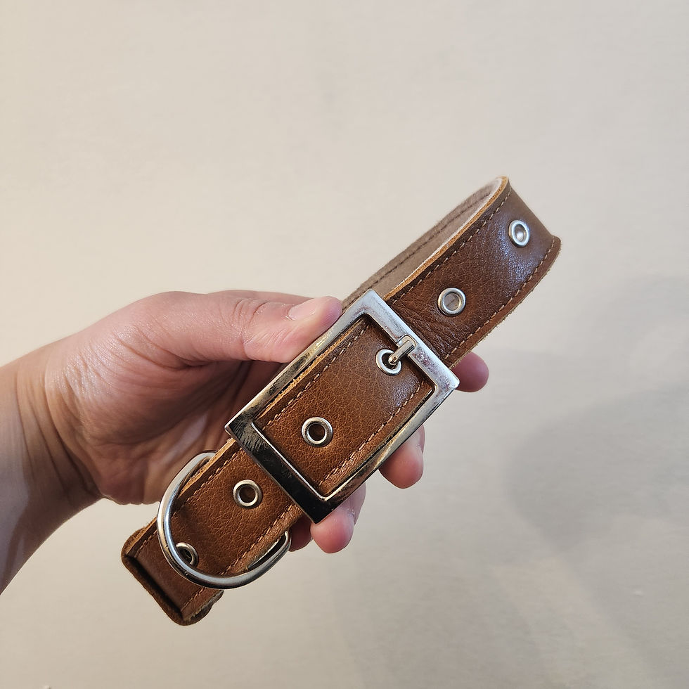 Miniatura: Collar de cuero L