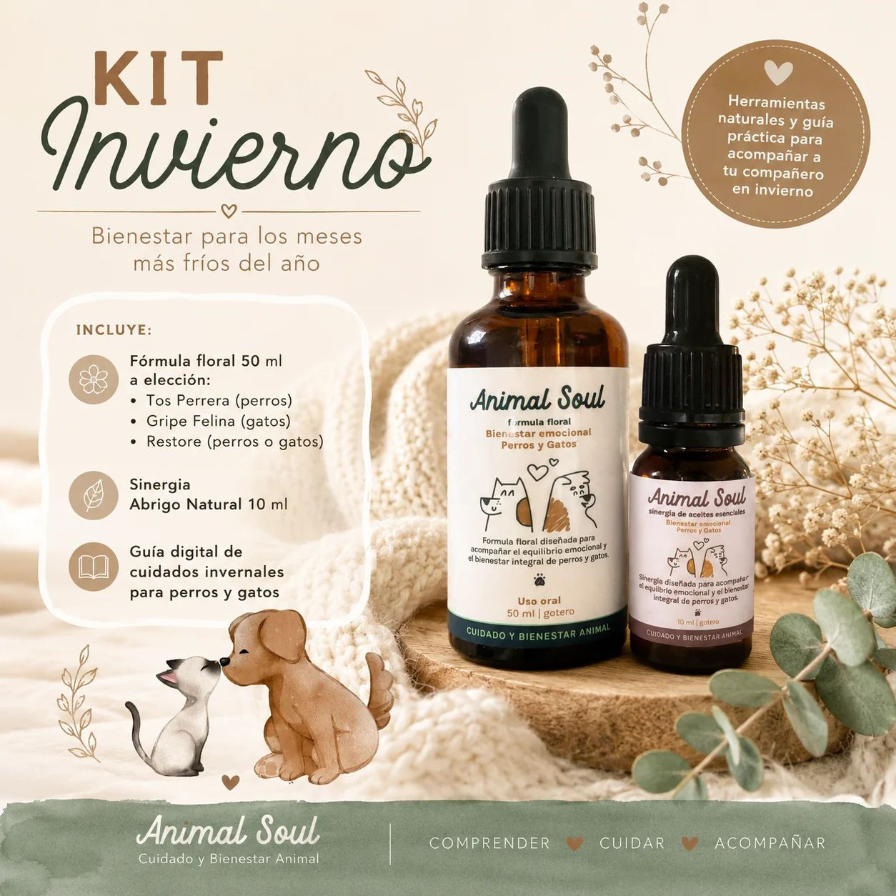 Kit | Invierno