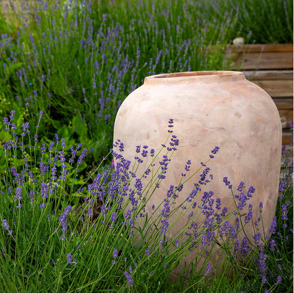 Plantasjen - en verden av hager