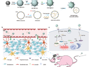 Synchronous Disintegration of Ferroptosis Defense Axis via Engineered Exosome-Conjugated Magnetic Nanoparticles for Glioblastoma Therapy