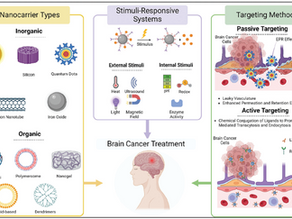 Insights into Targeted and Stimulus-Responsive Nanocarriers for Brain Cancer Treatment