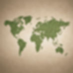 world map made from grain beige and green.jpg