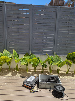 448872715_984629340120730_2804865926013551972_n