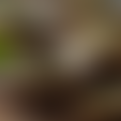 India's Innovative Tea Blends Unveiled