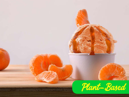 🍊 Tangerine Ice Cream