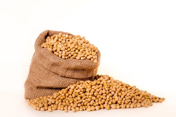 Soybean