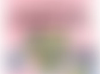 やつしろ母の日マルシェ