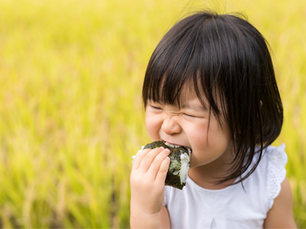 海苔の栄養と健康効果について|毎日食べたい天然のスーパーフード