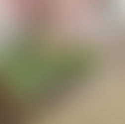 個人宅 花植え施工（寄せ植え・花壇リニューアル）