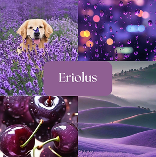 Eriolus.png
