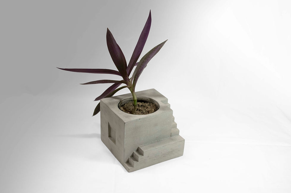 Planter 2