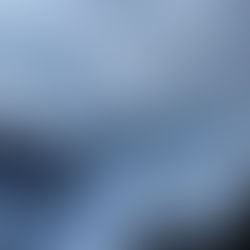 Fernie Alpine Resort Guide: It’s worth the trip