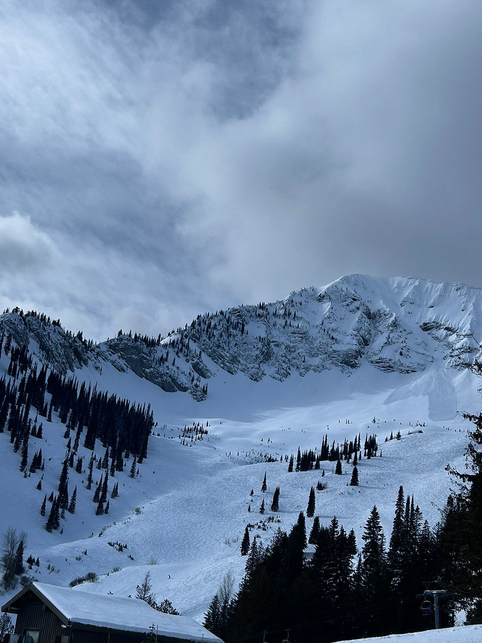 Fernie Alpine Resort Guide: It’s worth the trip