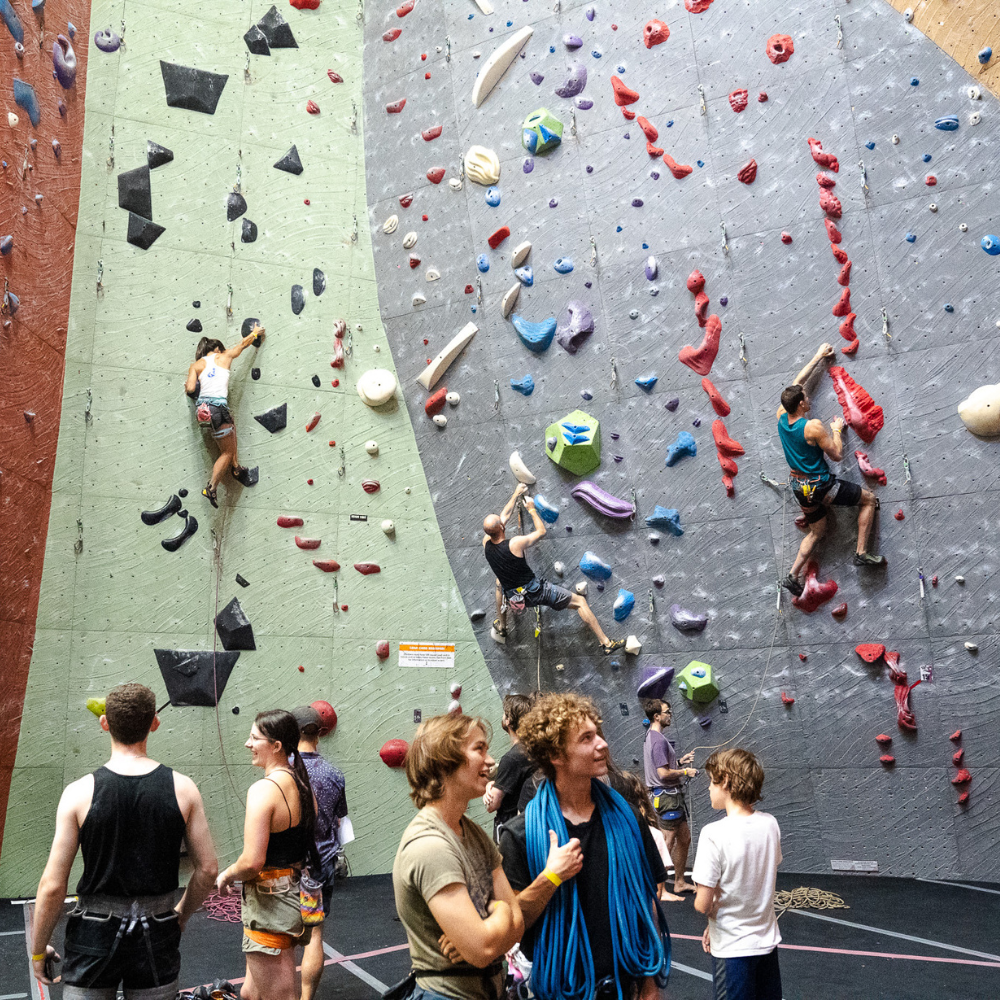 Vertical World
