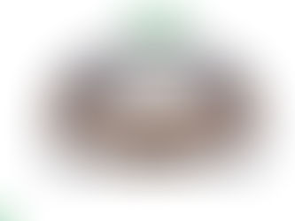 เครื่องดูดฝุ่นจากแบรนด์เกาหลีใต้ iClebo OMEGA