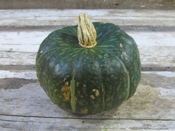 Thumbnail: Vegetables S-Z Seed Packets