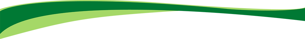 Green-Abstract-Lines-PNG-Photo_edited.png