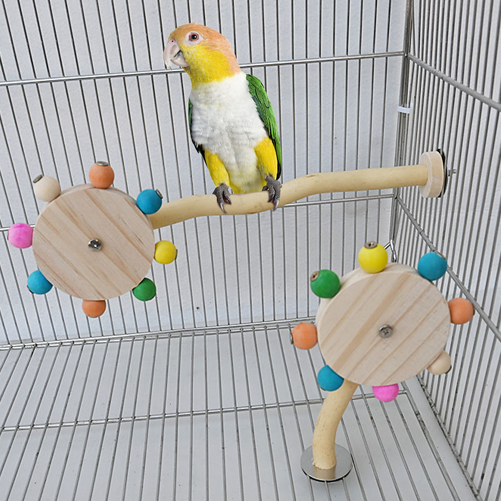 Funny Perch Toy with Rotating Balls Wood Interactive Bird Stand Colorful Parrot