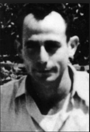 מיכה פרי - גד