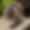 Thumbnail: She's Gone Fishin' Sobriety Chip *Personalized* Sober AA NA Al Anon Medallion E