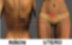 Pares Biomagneticos para Colico Renal