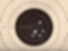 Target with bullet holes.jpg