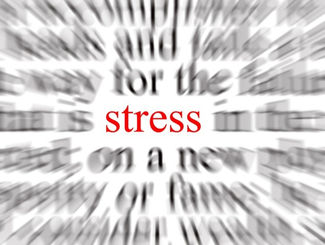 Comment combattre naturellement les effets nocifs du stress ?