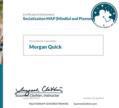 certificate from Suzanne Clothier showing completion of the Socialization MAP course