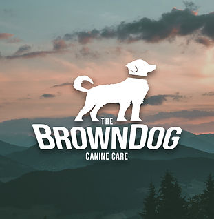 BANNER Brown Dog.jpeg