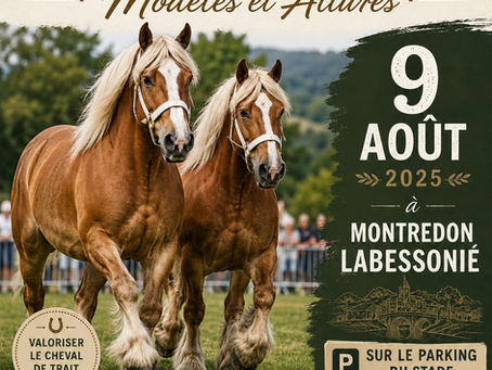Concours de chevaux