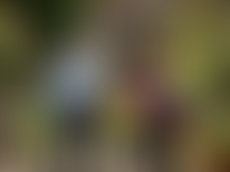 Elderly woman in wheelchair smiles at caregiver holding a potted plant in garden. Colourful flowers surround them, evoking a joyful mood.