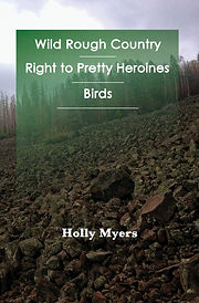 9781947322950-Front Cover.jpg