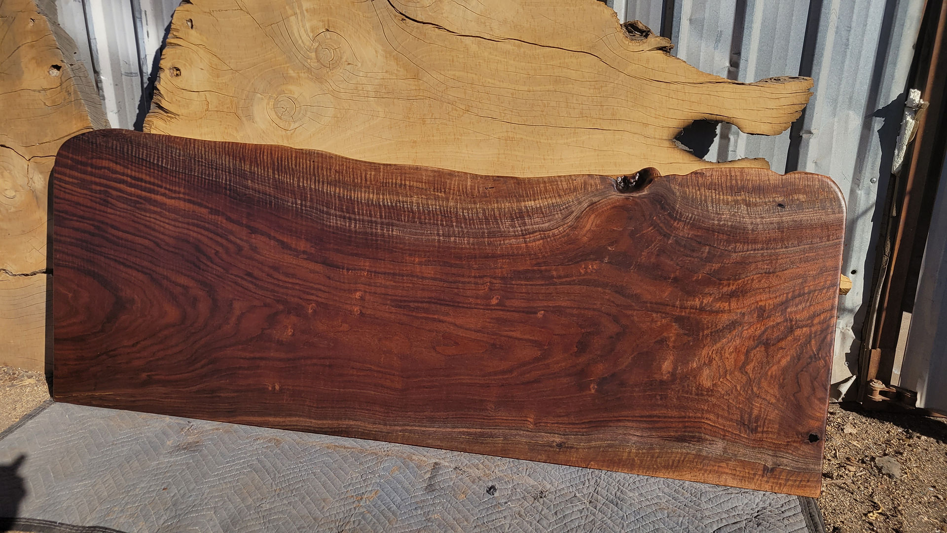 curly walnut live edge console table top