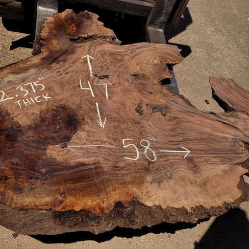 walnut burl live edge slab for wall art or headboard