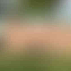 raw mesquite live edge slab after flattening