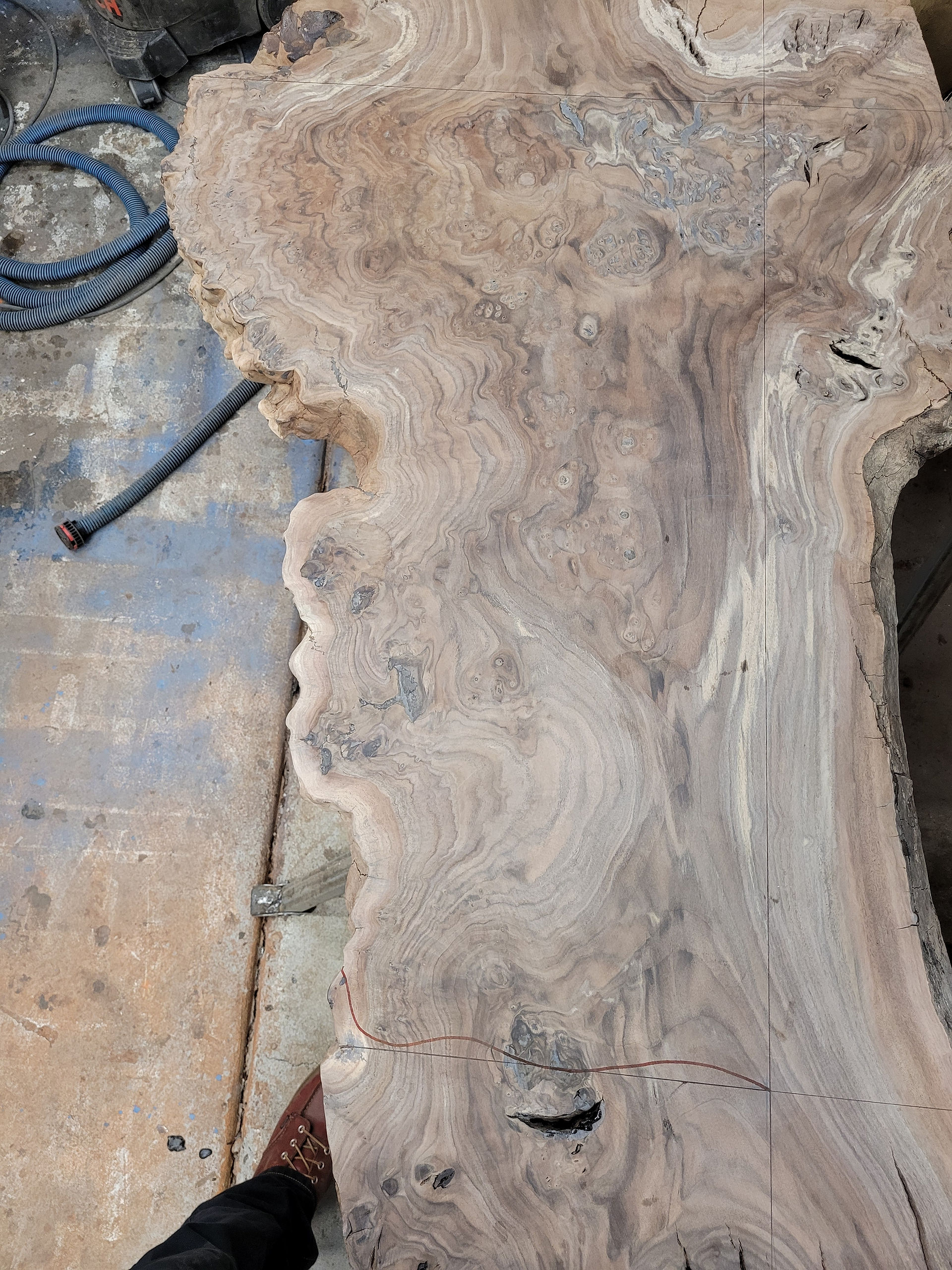 orchard walnut burl