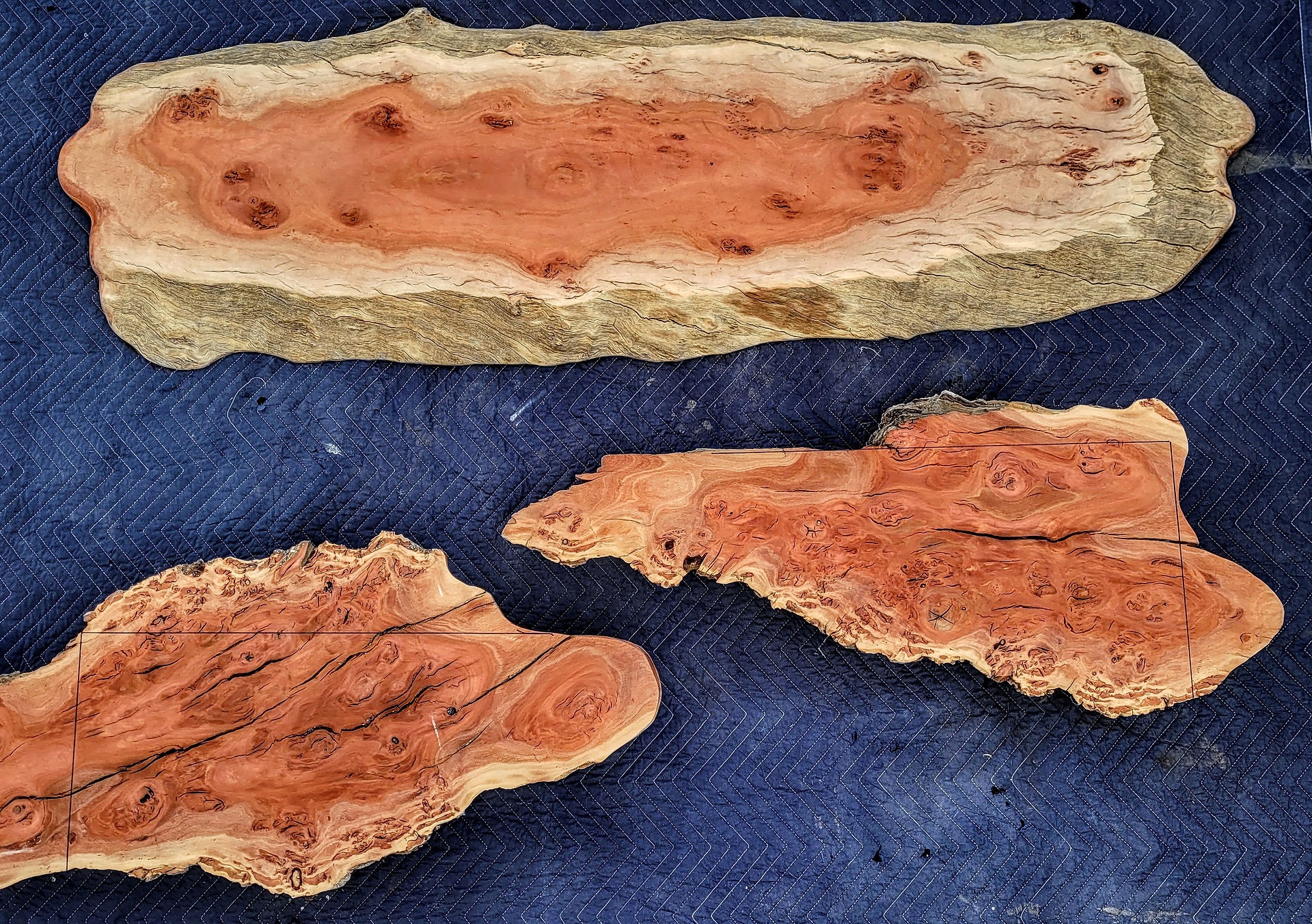 red gum burlwood live edge slabs