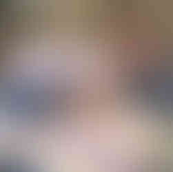 festool domino XL jointer for 4.5" Red Gum Euc Assembly